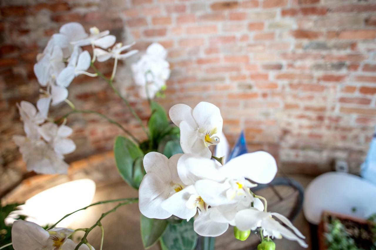 La Canonica - Charming Self-Catering Apartments In Nizza Monferrato Kültér fotó